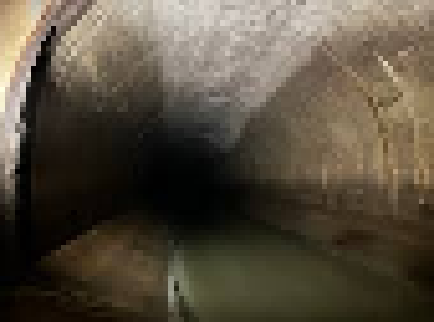 [bce8e5] EVERYONE HAS TELEPORTED TO A NEW ROOM:  everyone sees openings to the north and west.