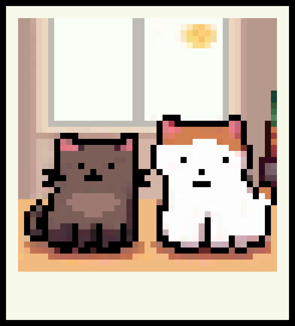 [cfe89f] PolaroidKittyDuoBG