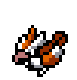 [9664c4] pidgey