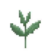 [93bd05] sprout2