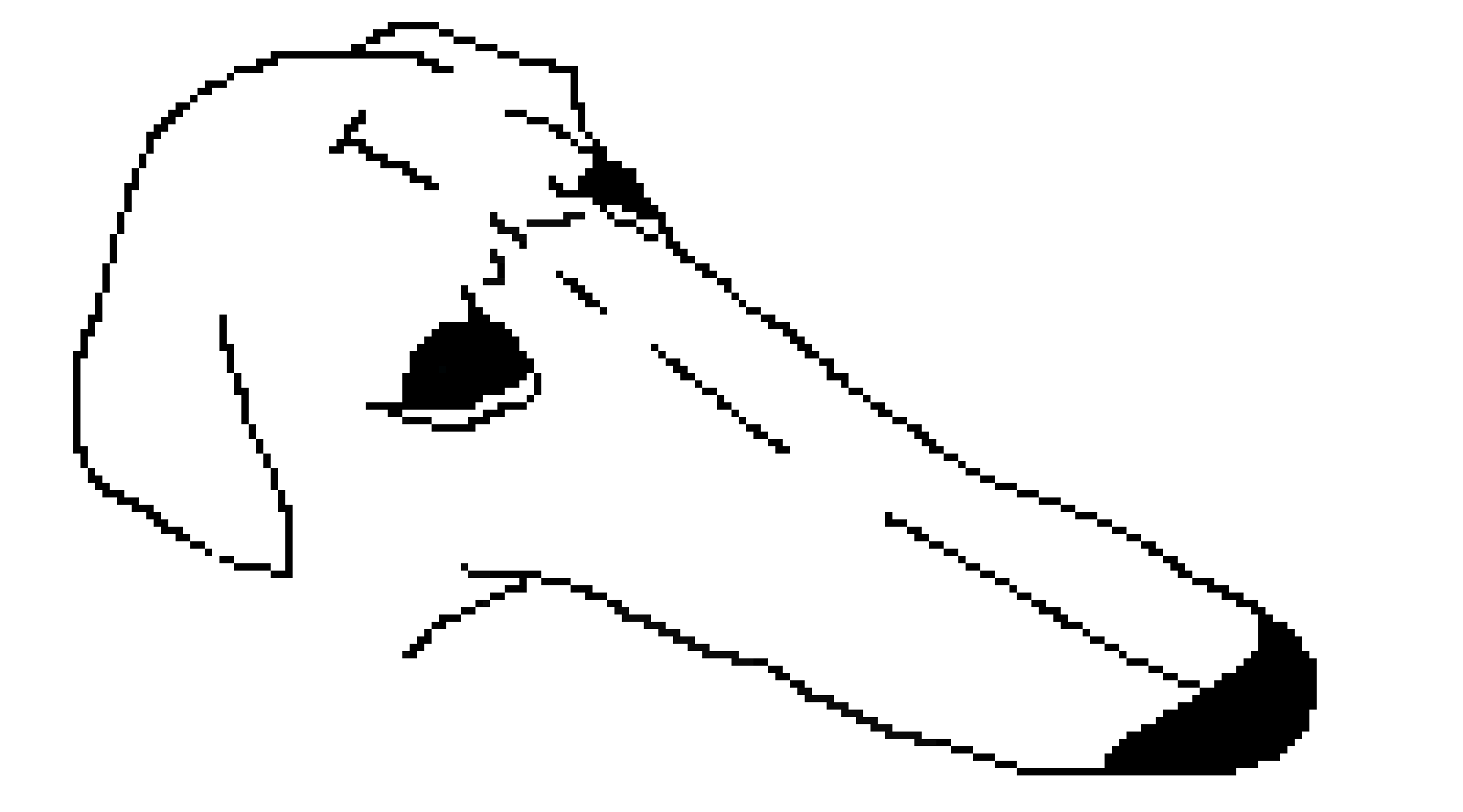 [ff6465] El Perro