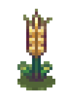 [75db37] wheat 2