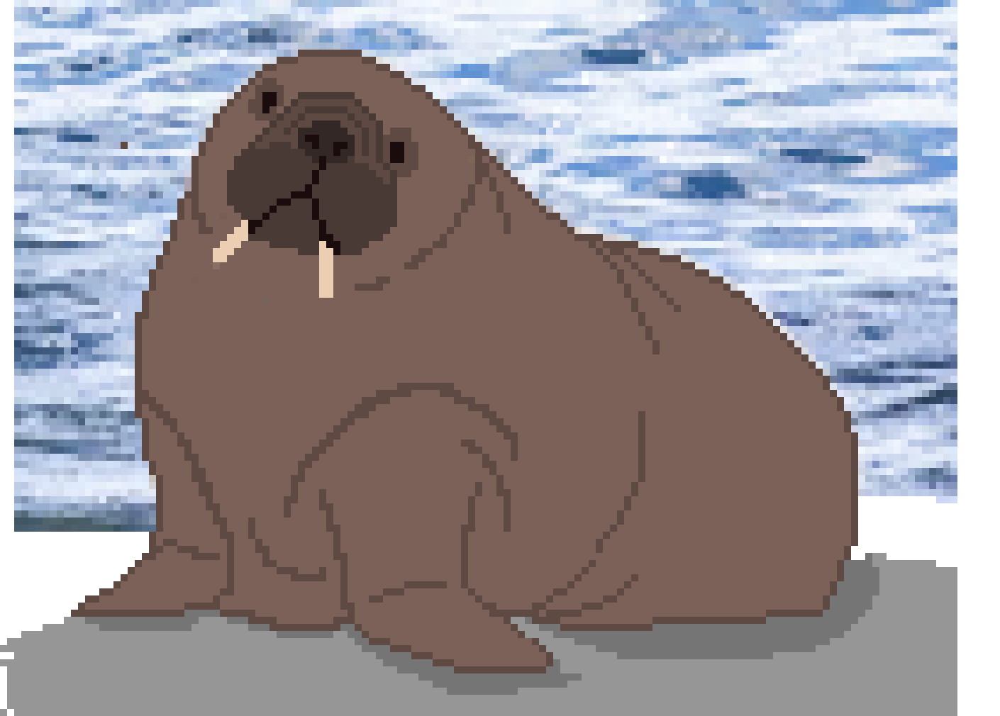 [f043b2] walrus