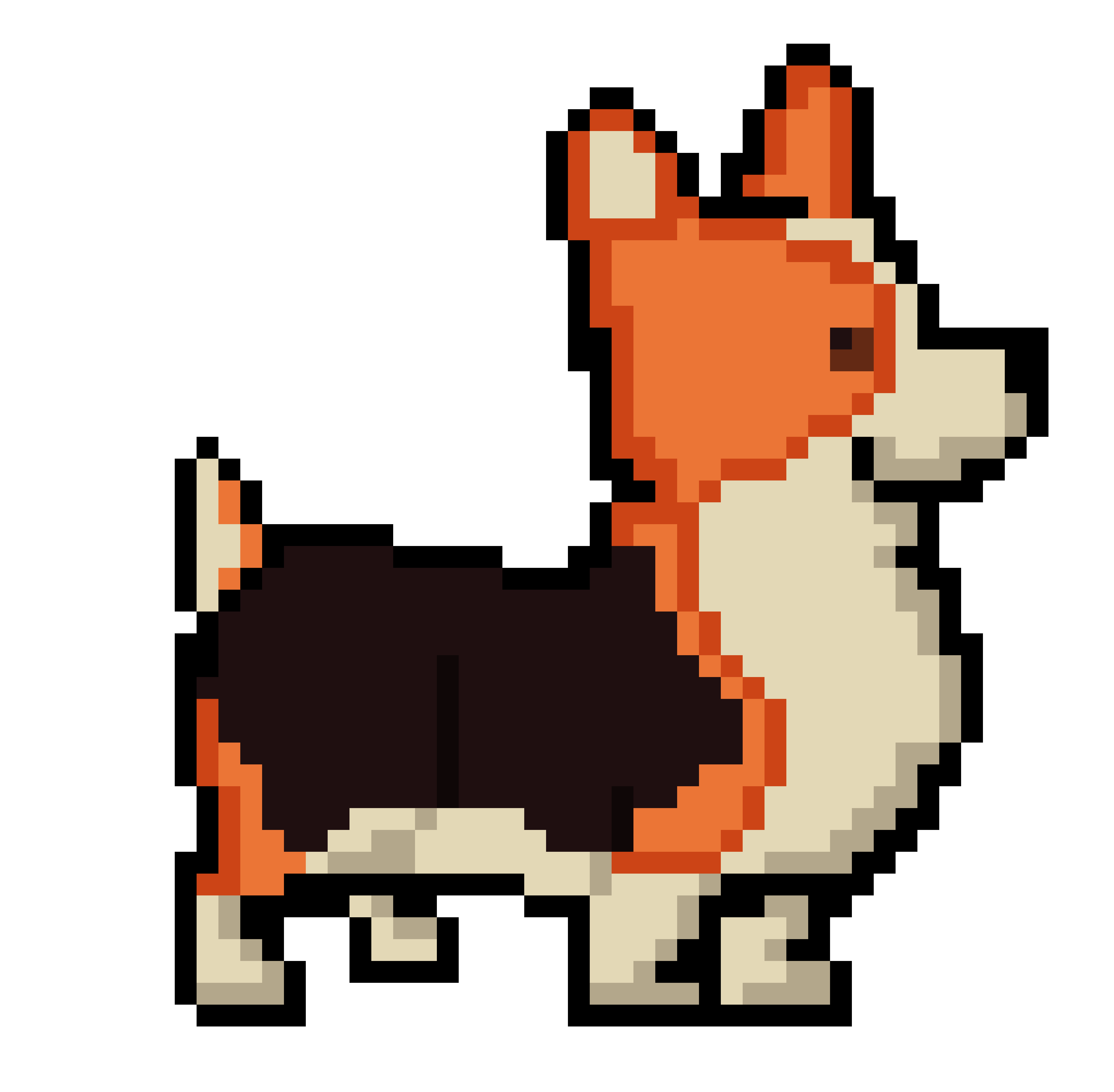 corgi