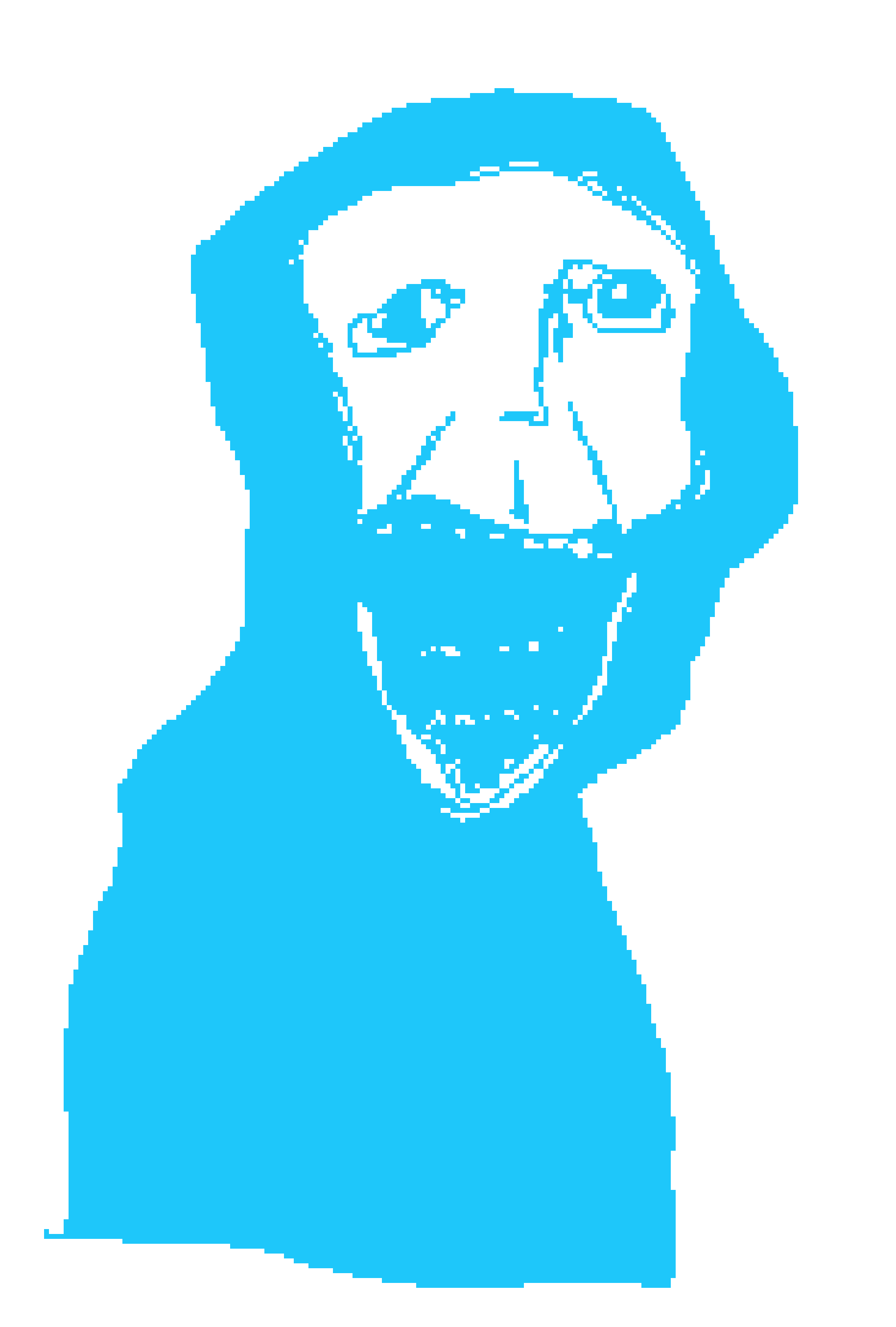 [425065]     