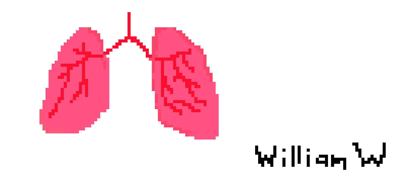 [2b4978] Lungs