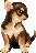 [dfdafc] Dog_33