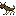 [e057df] cerberDog