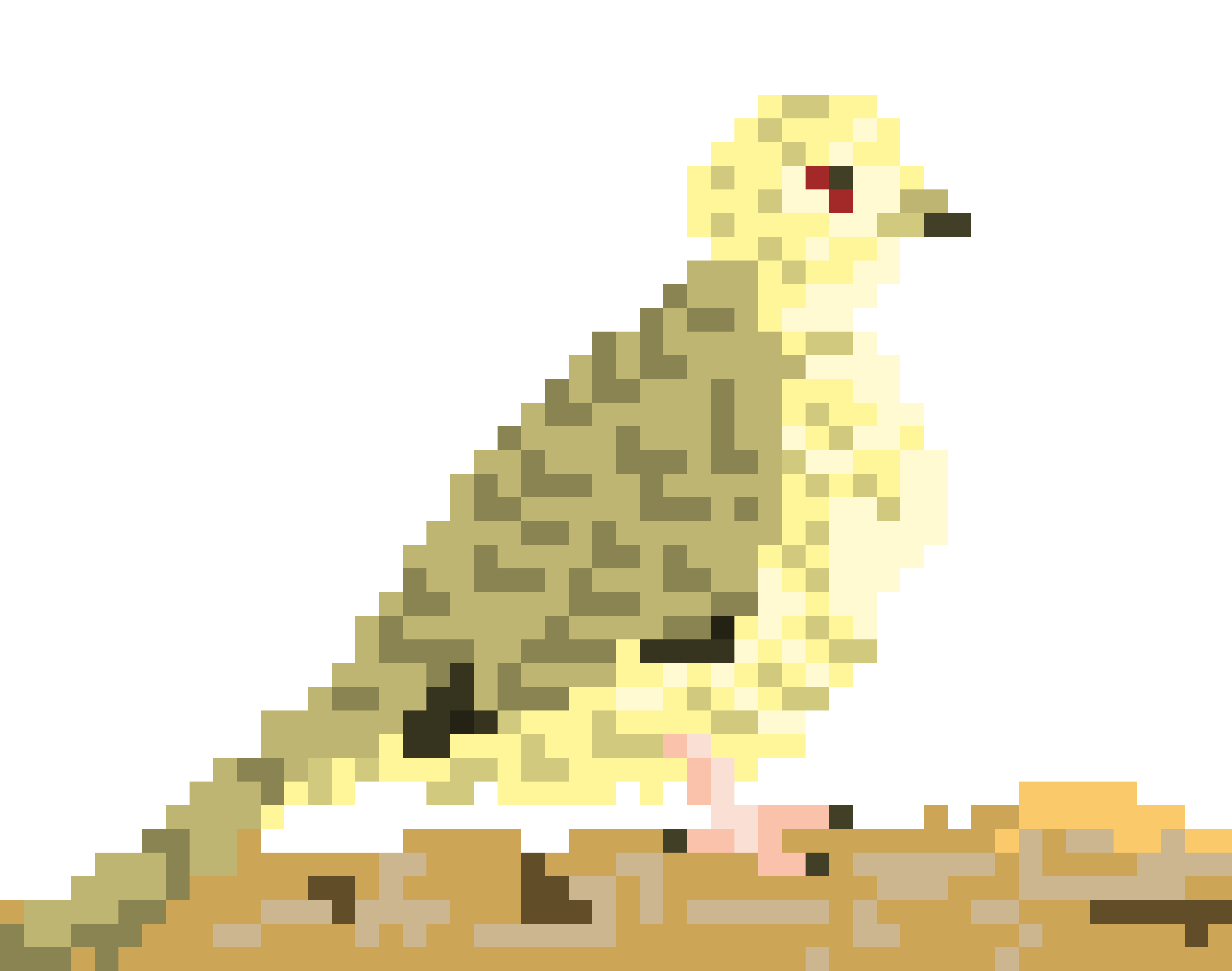 [9664c4] Incan Dove
