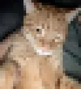[da4c0a] kitty kitty