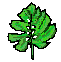 [9664c4] tree1.2