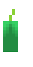 [3e1125] pepino do mar