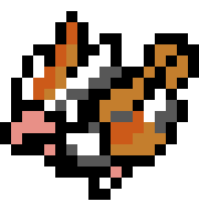 [9664c4] PIDGEY