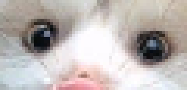 [8048ed] hi Moko