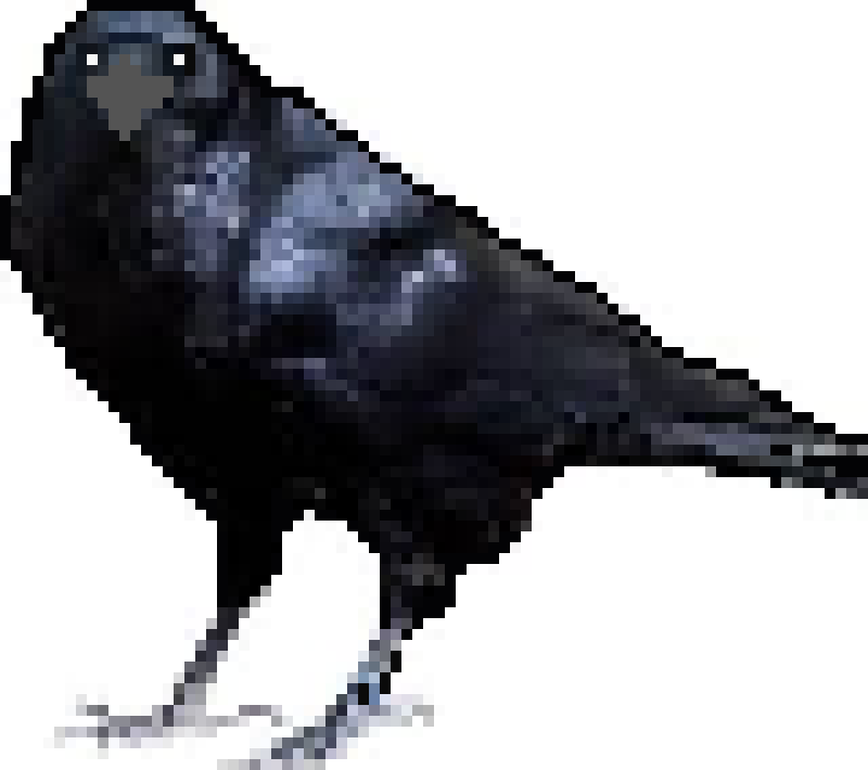 [3a75f6] Raven
