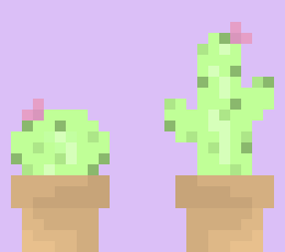 [9664c4] Cactus