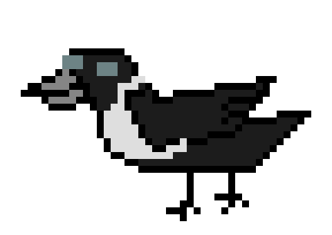 [f865f3] Magpie