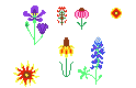[a3a3b1] multiflower_all