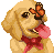 [dfdafc] Dog_22