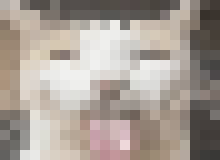 [fdcfdc] why is this image so small 😭😭son😭