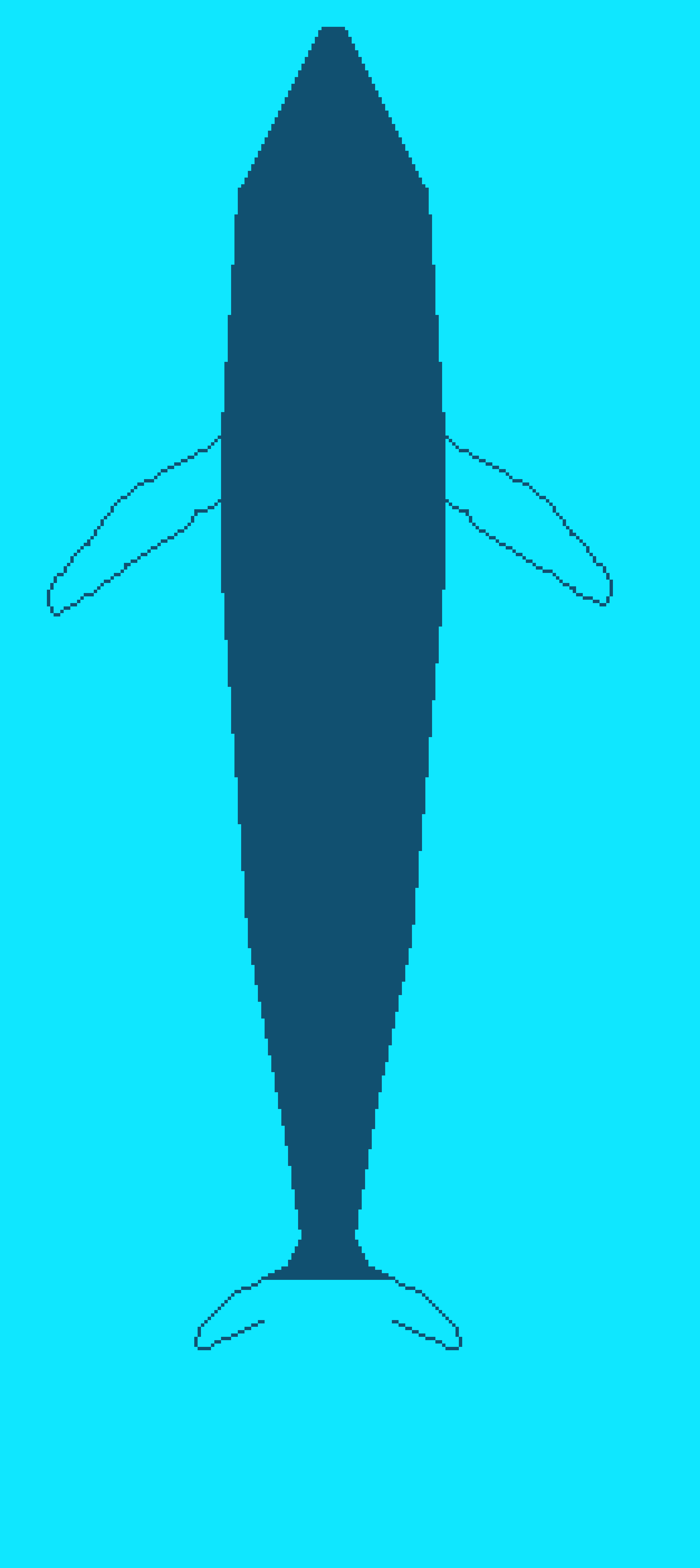 [f05cca] whale skateboard