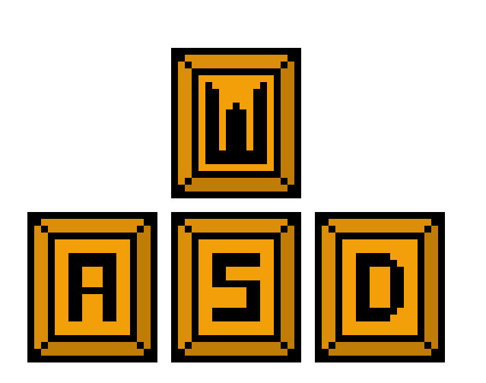 WASD Keys