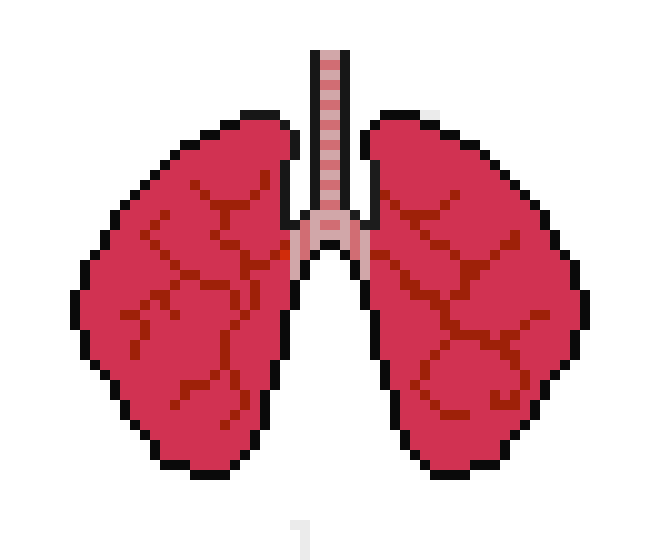 [2b4978] Lungs.