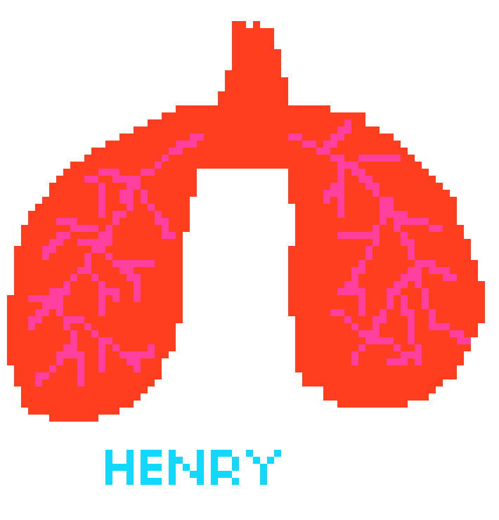 [2b4978] Lungs I made in 3.5 seconds.