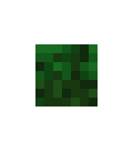[479a48] Grass