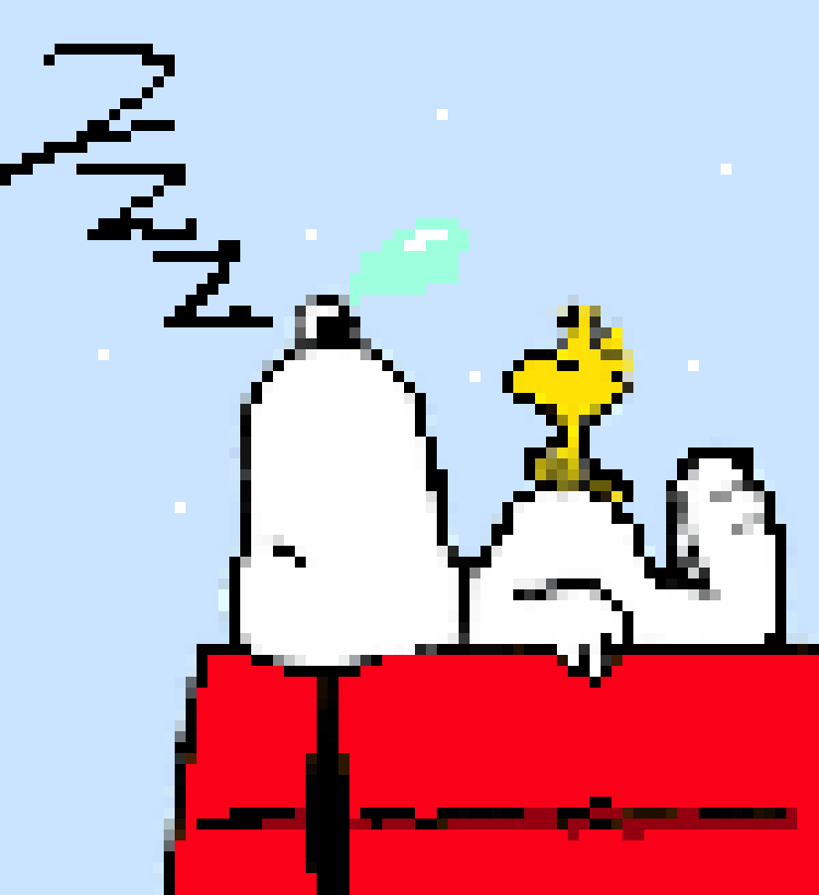 [aa8882] snoopy real