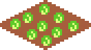 [022367] Lettuce_S3