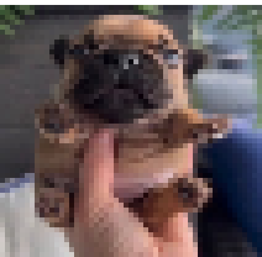 [64710a] Dog