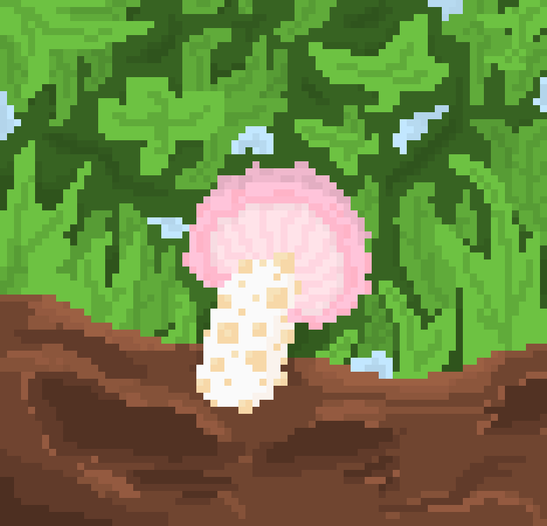 [c4a73a] Rhodotus Palmatus