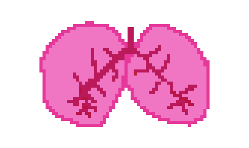 [401978] pixel lungs