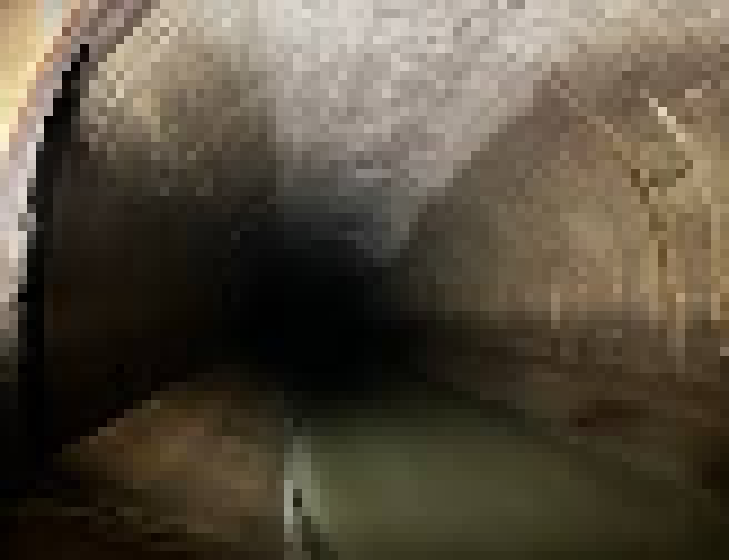 [bce8e5] misuti collected the glass shard.