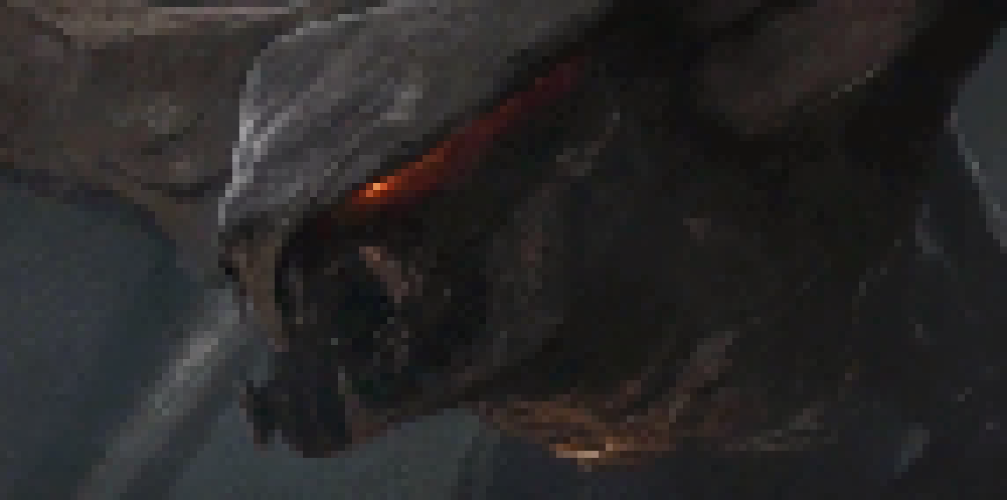 [506dc7] Female Muto
