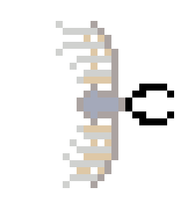 [5fc845] Bug