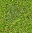 [c9c275] grass01