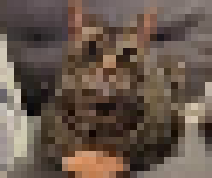 [c2acbc]  