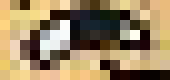 [6cd0a0] eye