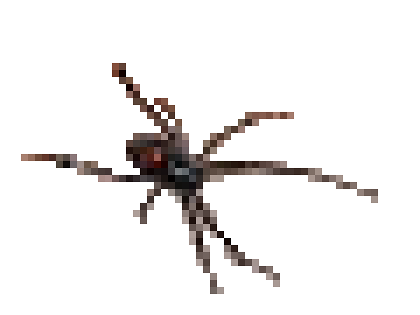 [51b029] Black Widow