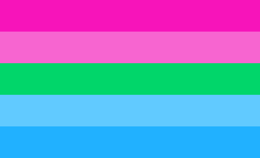 [c2fd39] poly flag redesign attempt 