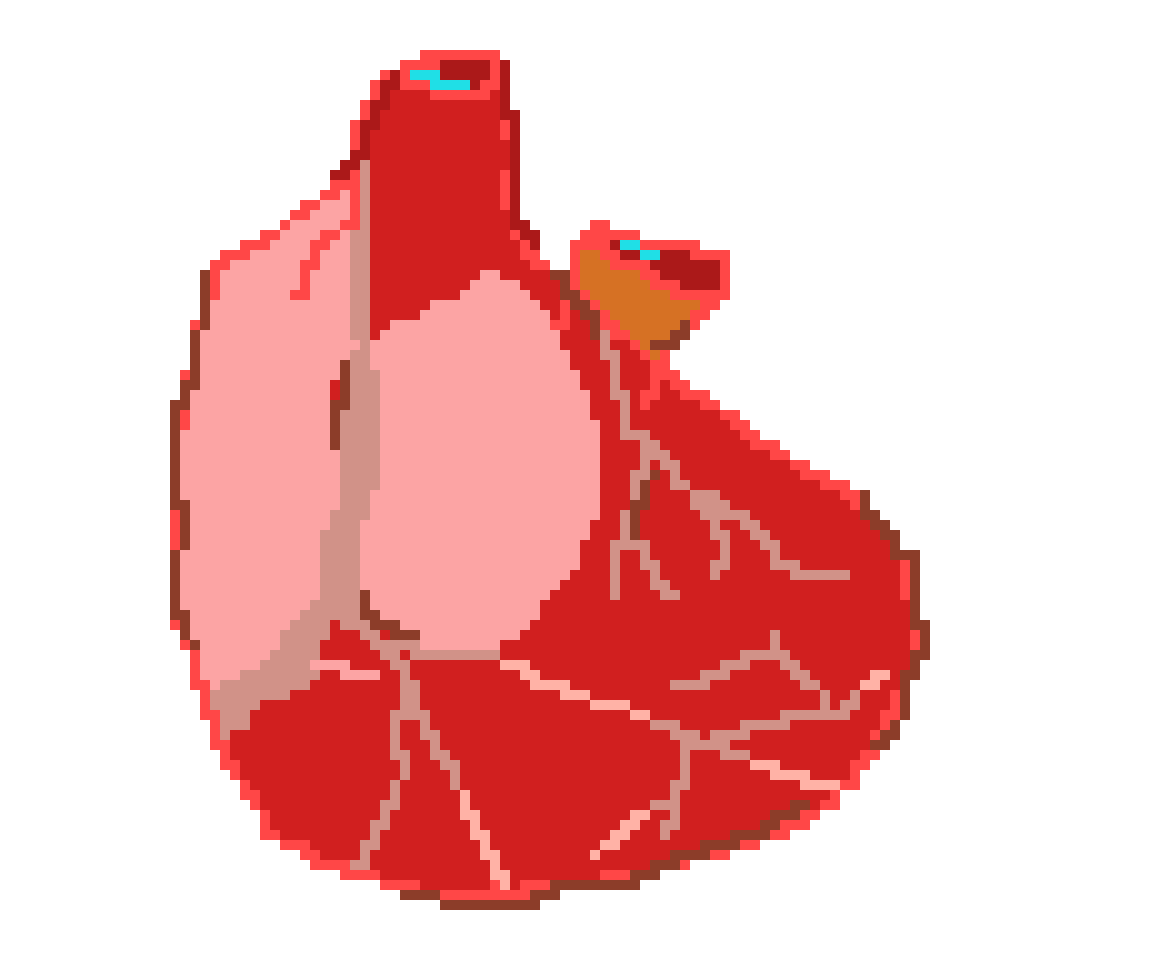 [9664c4] heart