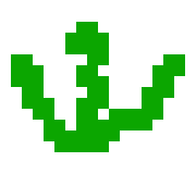 [9664c4] Sea Weed