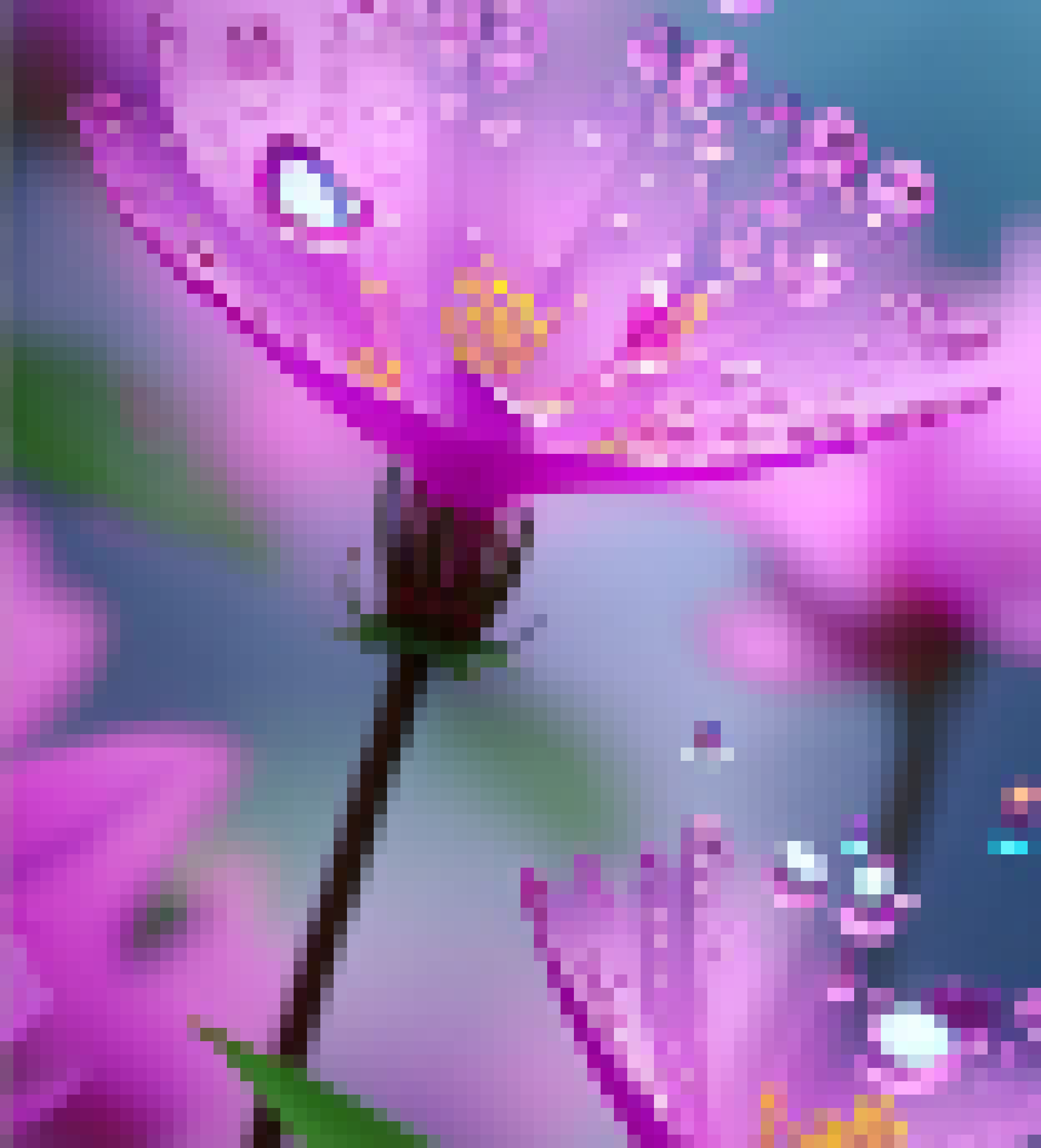[0eda07] 5