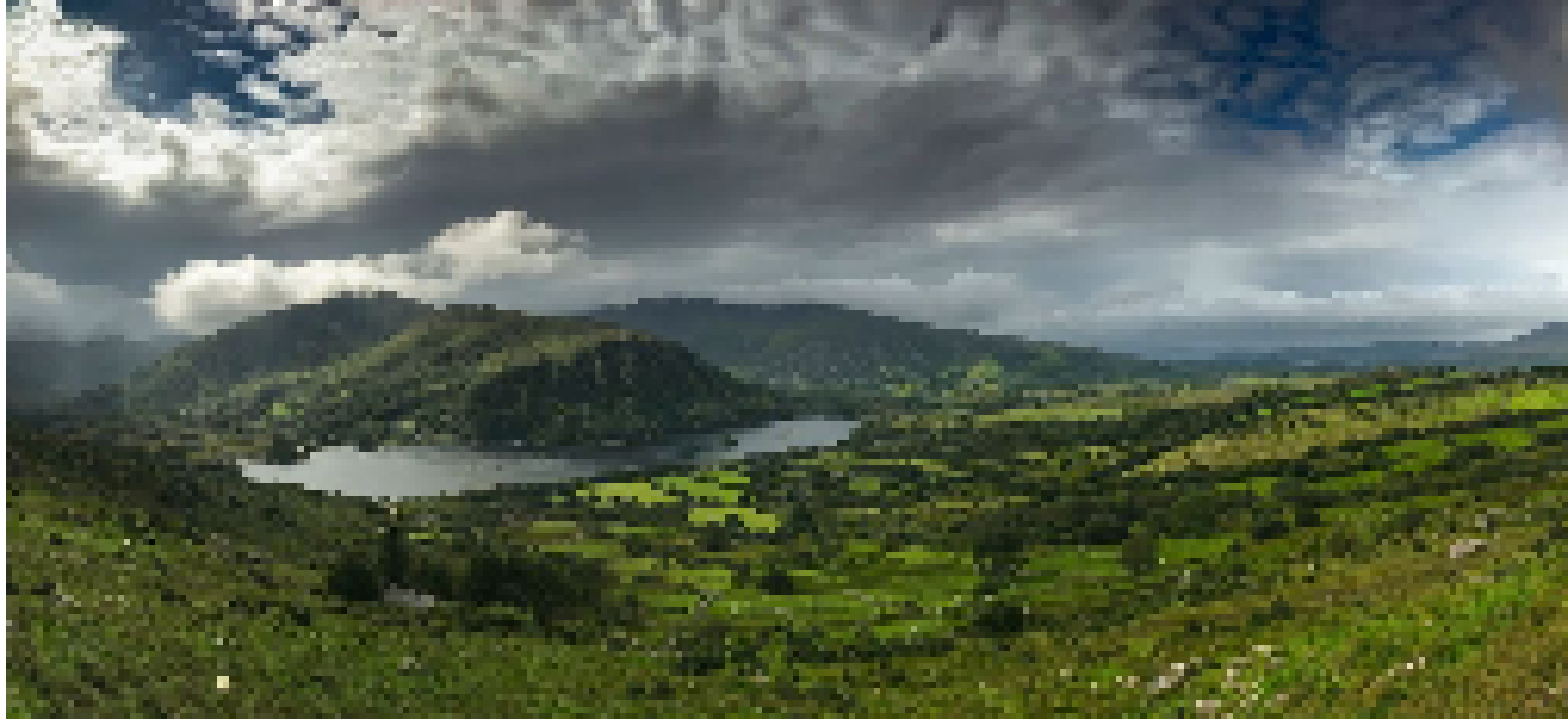 [023390] Irelande3