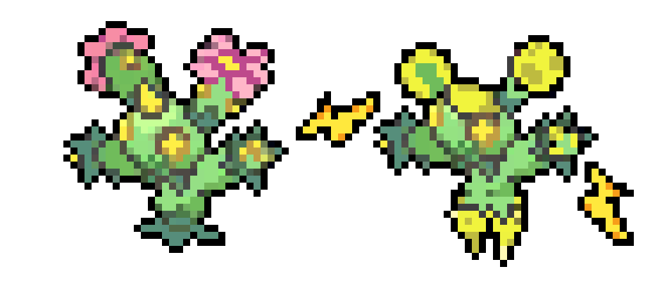 [31a6c2] Regional variant of Maractus