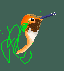 [15386a] humming bird