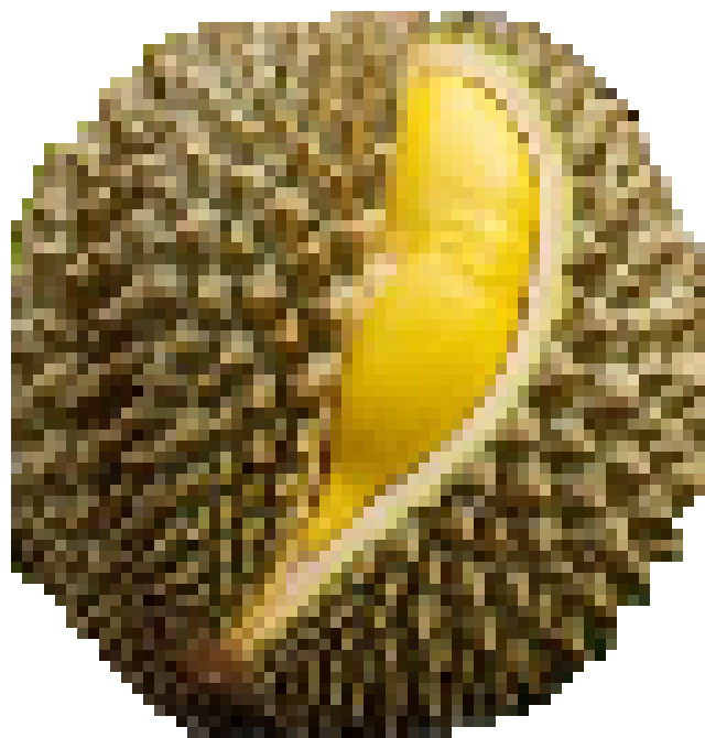 [4fc7cb] nut