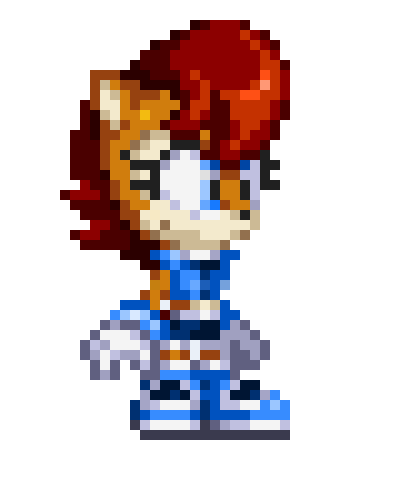 sally acorn